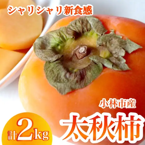 柿 【産直もぎたて】太秋柿（2kg）