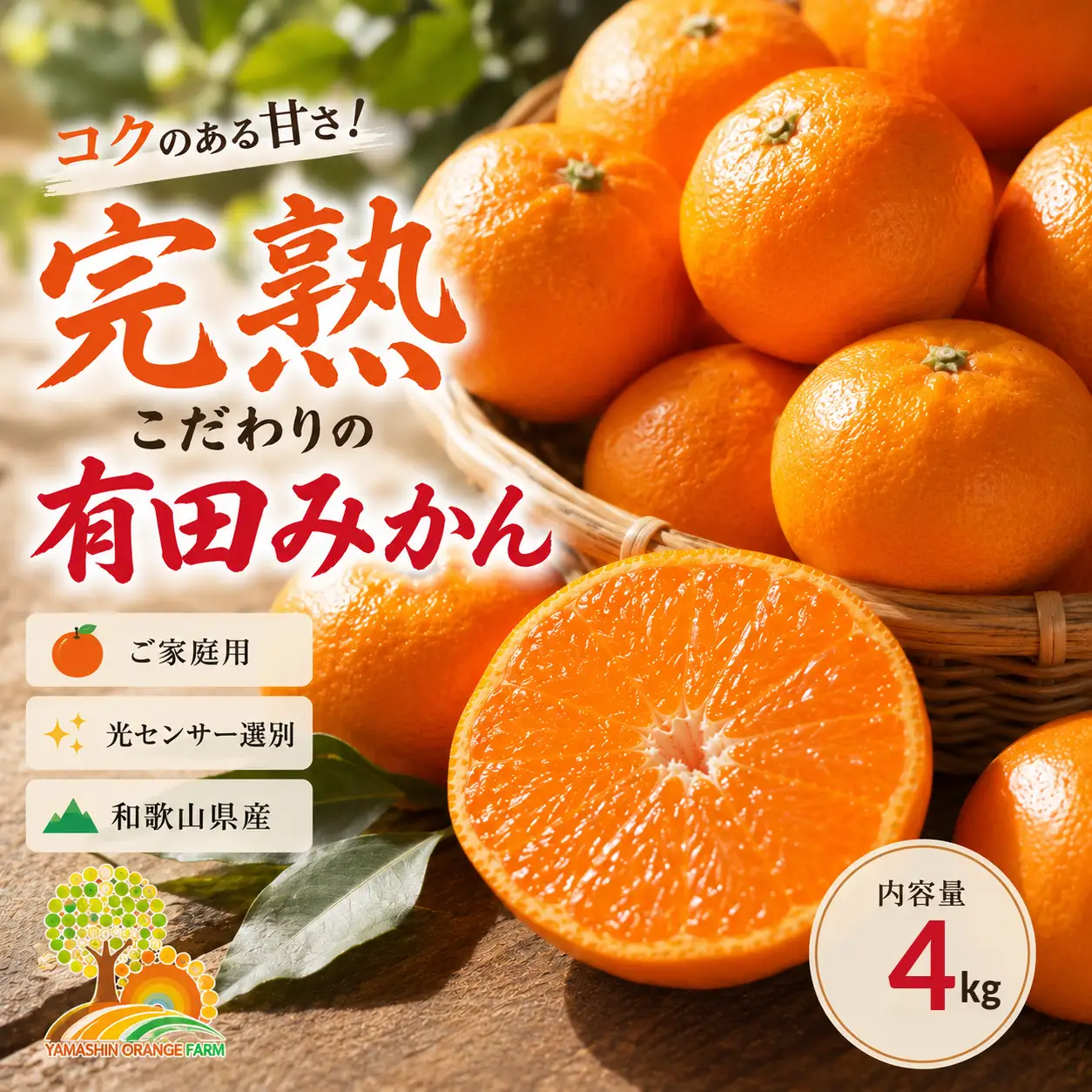 有田みかん こだわりの完熟 4kg＋150g(傷み補償分) ｜ みかん