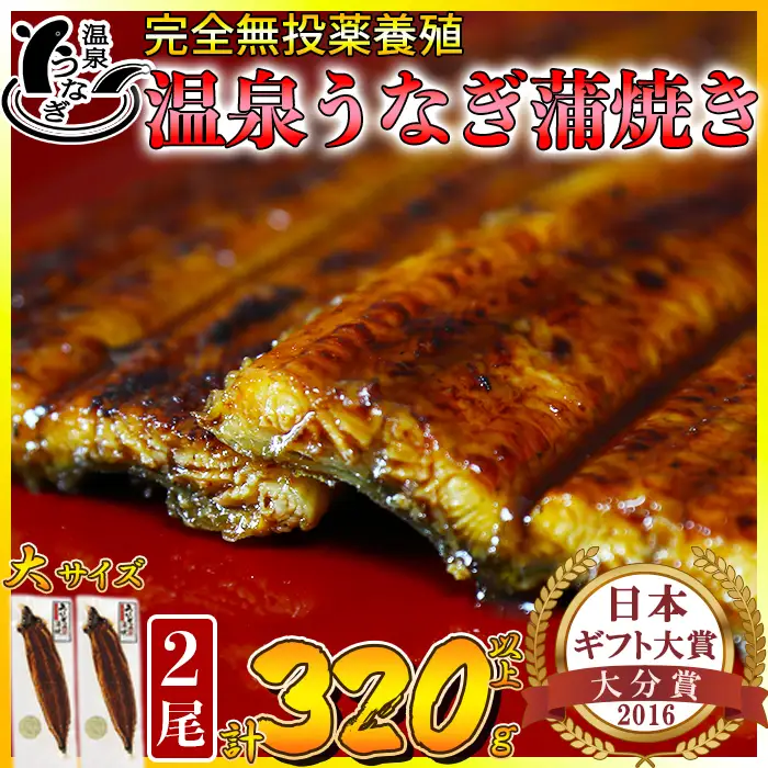 温泉うなぎ 蒲焼 2尾（160gサイズ）【大分水産】 国産 完全無投薬 うなぎ 九州 大分県 うな丼 うな重 冷凍 鰻 ギフト 受賞 土用の丑の日 スタミナ 夏バテ ＜104-011＞