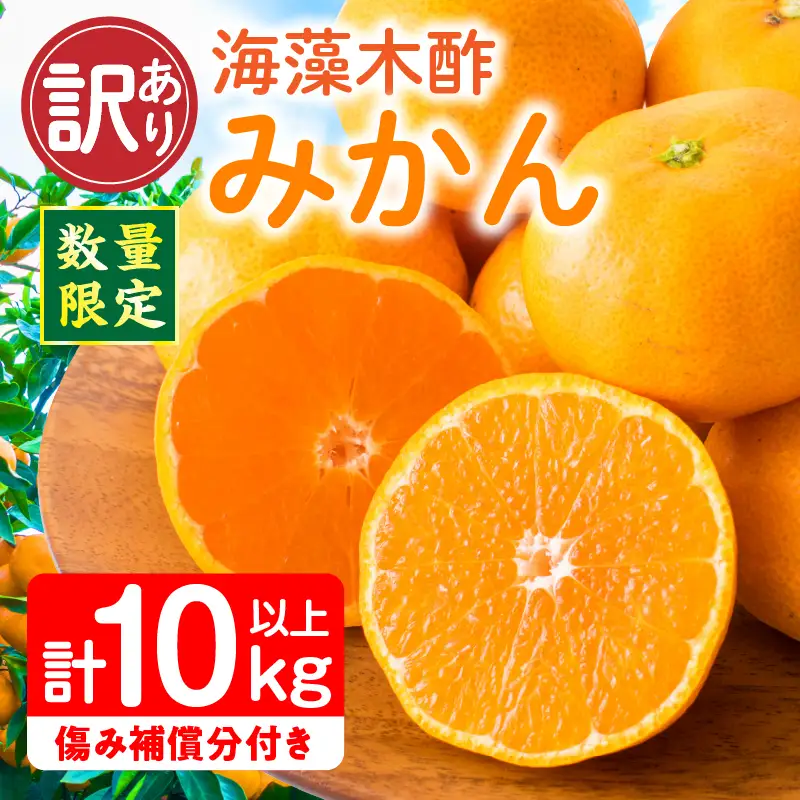 訳あり 数量限定 海藻木酢みかん 計 10kg 以上 傷み補償分入り フルーツ 果物_BBV4-25