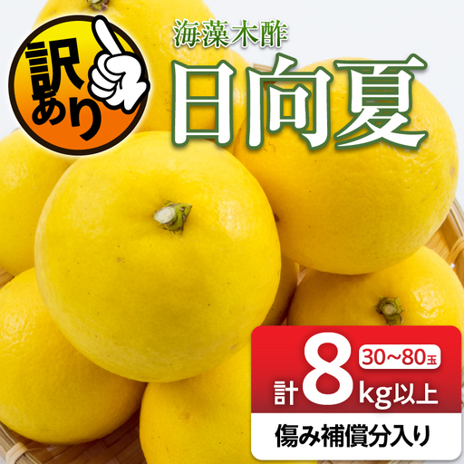 先行予約 訳あり 海藻木酢 日向夏 小夏 計8kg以上 傷み補償分入り_BB179-26