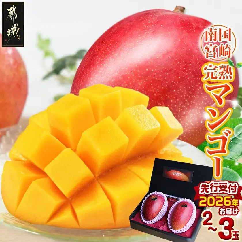 【先行受付!】宮崎完熟マンゴー2～3玉(都城産)〔AC-3303〕_(都城産) 宮崎マンゴー A等級 2玉～3玉 2Lサイズ～3Lサイズ MANGO フルーツ 化粧箱 宮崎県産 都城産 産地直送 冷蔵 