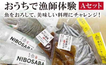 おうちで漁師体験Ａセット ヒラメ 1尾 マサバ 2尾 カタクチイワシ 2袋 [天洋丸 長崎県 雲仙市 item1736] ひらめ さば サバ 鯖 いわし イワシ