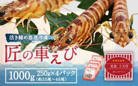 【上天草ブランド認証品】 匠の車えび【活き締め急速冷凍】250g×4パック(28尾～40尾)