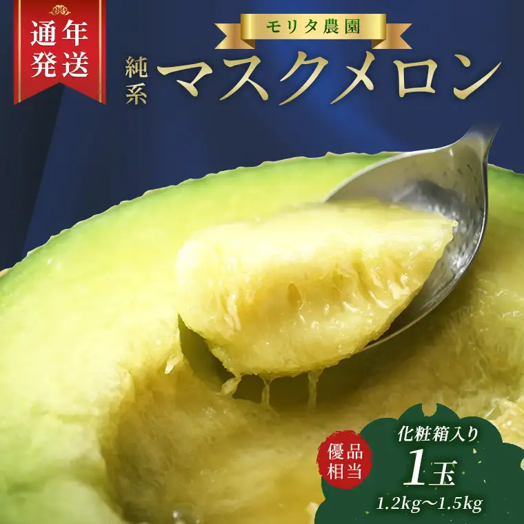 【通年栽培】純系マスクメロン１玉（化粧箱入）【１１月発送分】