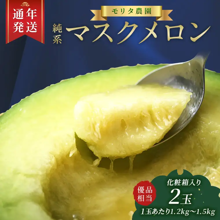 【通年栽培】純系マスクメロン２玉（化粧箱入）【１１月発送分】