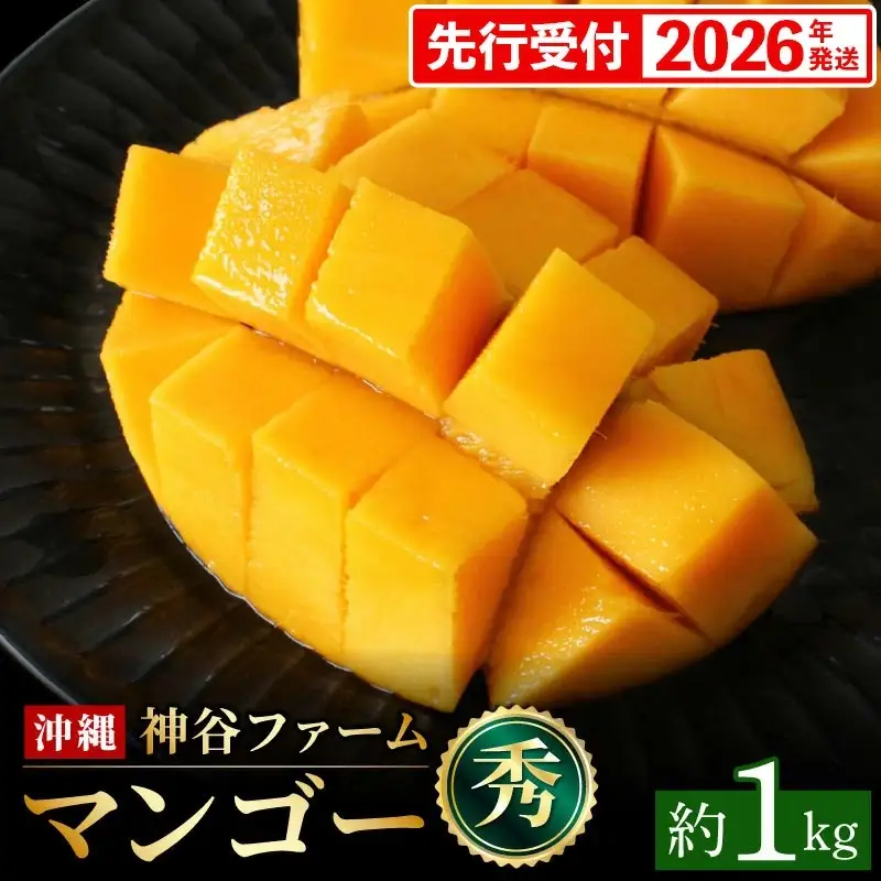 【化粧箱入】【先行受付・2026年発送】神谷ファームのマンゴー（秀）約1Kg - 先行予約 沖縄県産 産地直送 南国フルーツ 旬の味覚 季節の果物 贈り物 ギフト 沖縄県 八重瀬町