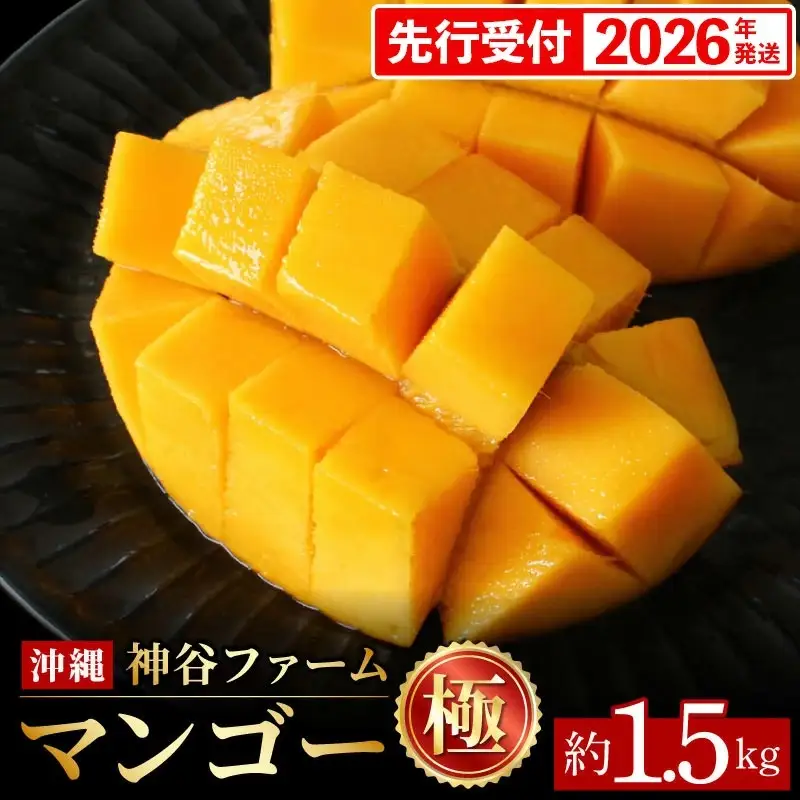 【化粧箱入】【先行受付・2026年発送】神谷ファームのマンゴー（極）約1.5Kg - 先行予約 沖縄県産 産地直送 南国フルーツ 旬の味覚 季節の果物 贈り物 ギフト 沖縄県 八重瀬町