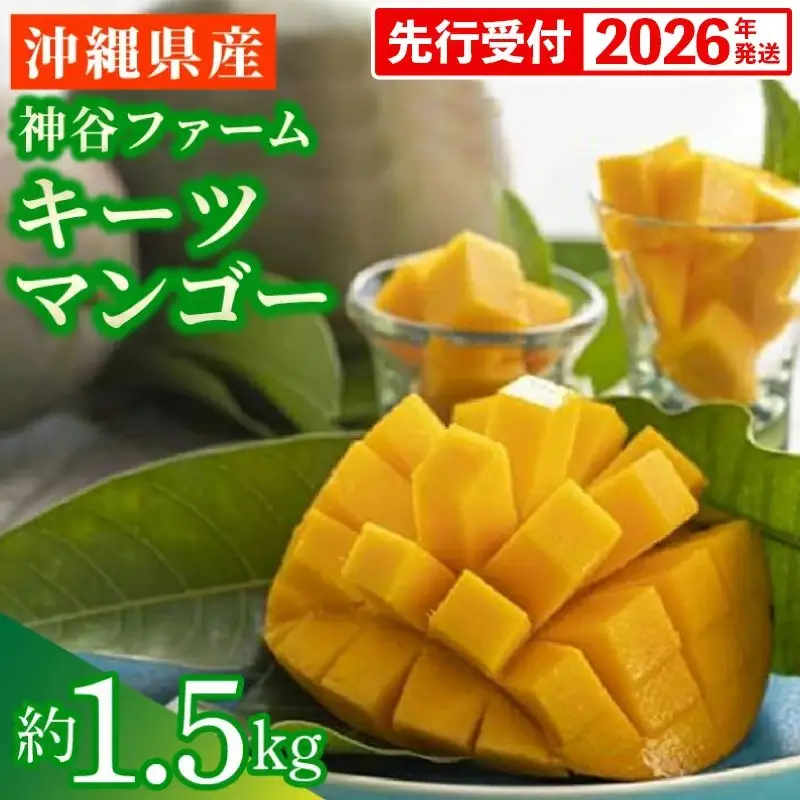 【先行受付】【2026年発送】神谷ファームのキーツマンゴー 約1.5kg - 先行予約 沖縄県産 産地直送 南国フルーツ 旬の味覚 季節の果物 希少種 贈り物 ギフト 沖縄県 八重瀬町