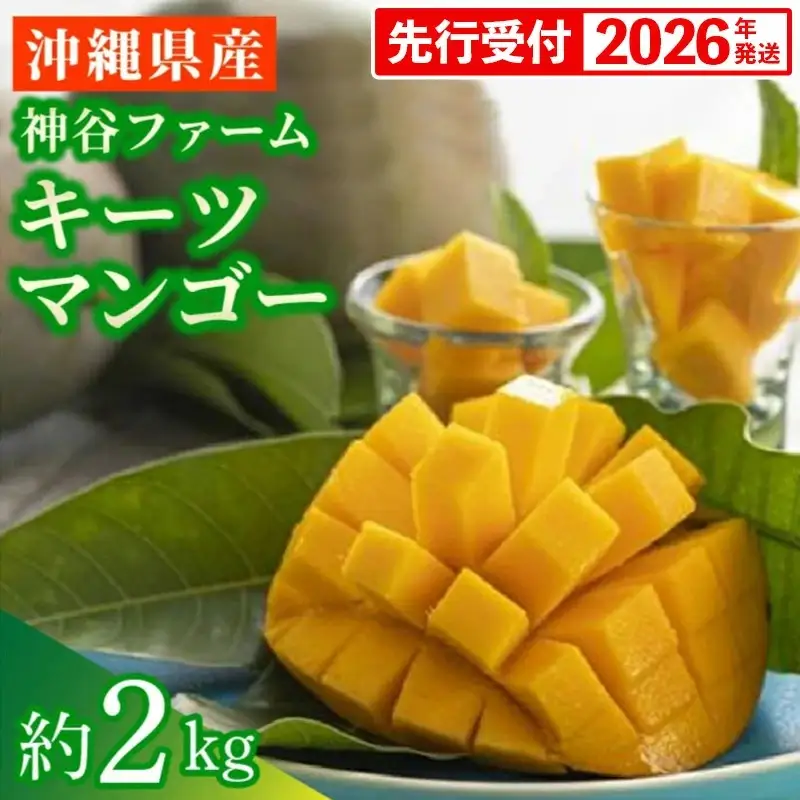 【先行受付】【2026年発送】神谷ファームのキーツマンゴー 約2kg - 先行予約 沖縄県産 産地直送 南国フルーツ 旬の味覚 季節の果物 希少種 贈り物 ギフト 沖縄県 八重瀬町