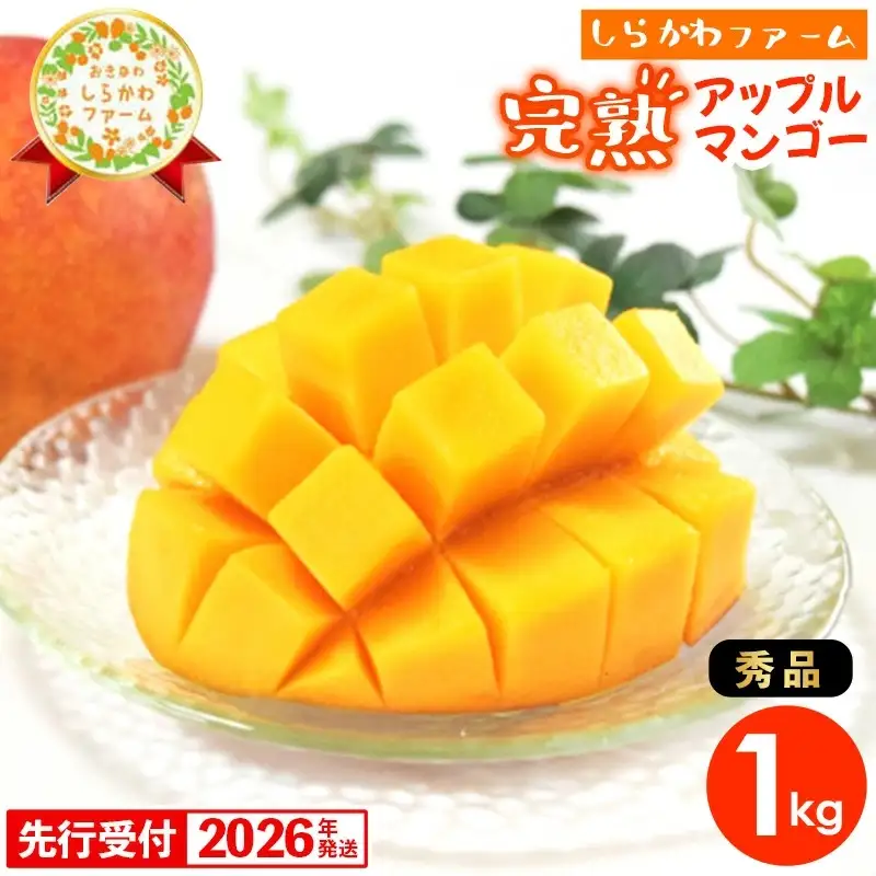 【先行受付】【2026年発送】しらかわファームのアップルマンゴー 秀 約1kg - 先行予約 沖縄 産地直送 南国フルーツ 旬の味覚 旬のフルーツ 贈り物 ギフト 沖縄県 八重瀬町