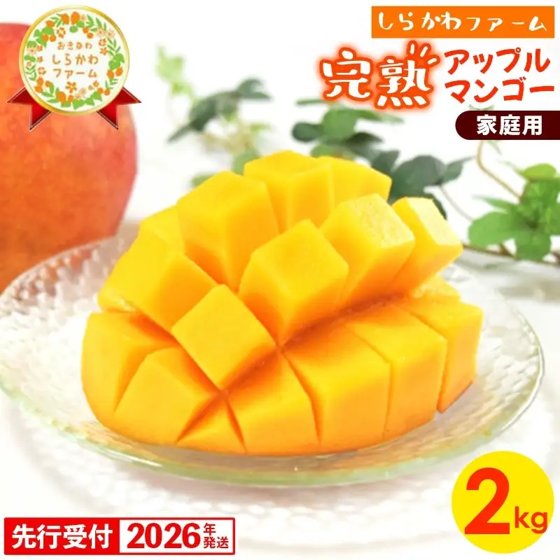 【先行受付】【2026年発送】しらかわファームの家庭用アップルマンゴー約2kg - 先行予約 沖縄県産 産地直送 南国フルーツ 旬の味覚 季節の果物 ご自宅用 家庭用 沖縄県 八重瀬町