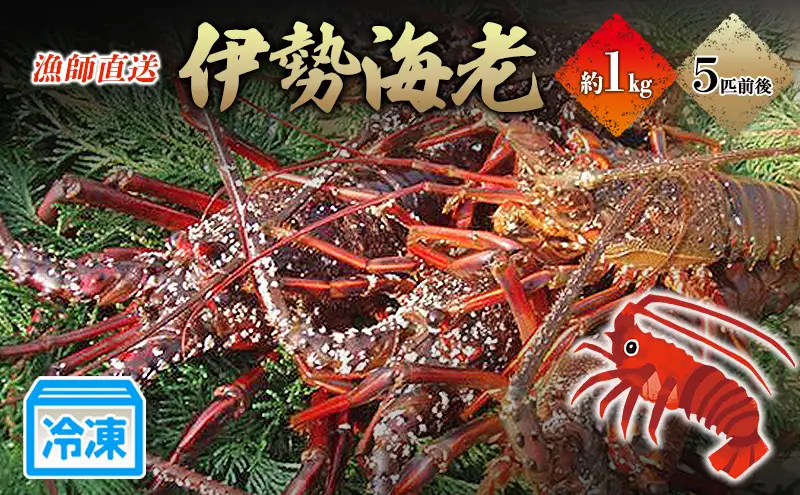 伊勢海老 冷凍 1kg 漁師直送 伊勢エビ 伊勢海老