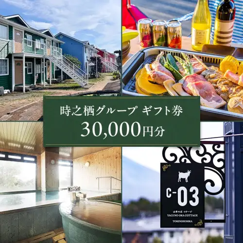 時之栖グループギフト券（30,000円分） | 宿泊券 トラベル ギフト券 利用券