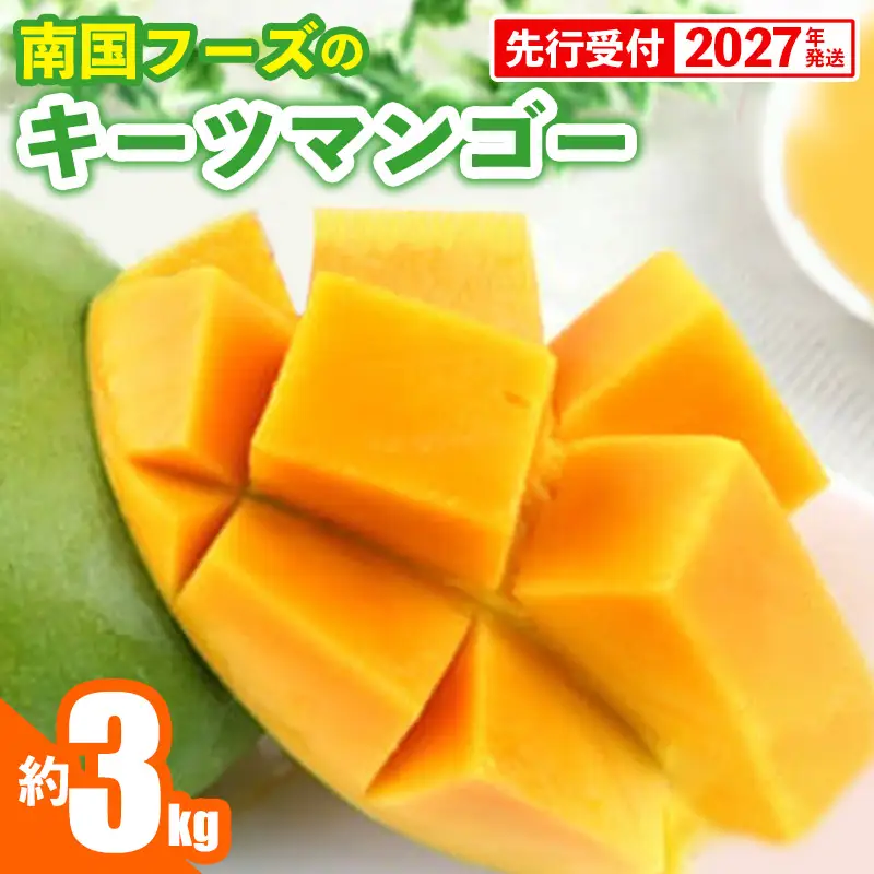 【先行受付】【2027年発送】南国フーズのキーツマンゴー 約3kg - 先行予約 沖縄 産地直送 南国フルーツ 旬の味覚 沖縄県産 国産マンゴー 希少種 オススメ 沖縄県 八重瀬町
