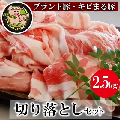 【ブランド豚・キビまる豚】切り落とし　約2.5kg - 豚肉 小分け 500gずつ 部位混合 色々楽しめる 人気 しょうが焼き 肉じゃが 豚丼 豚キムチ 肉巻き アレンジ 色々 人気 ブランド豚 おすすめ 沖縄県 八重瀬町【価格改定】