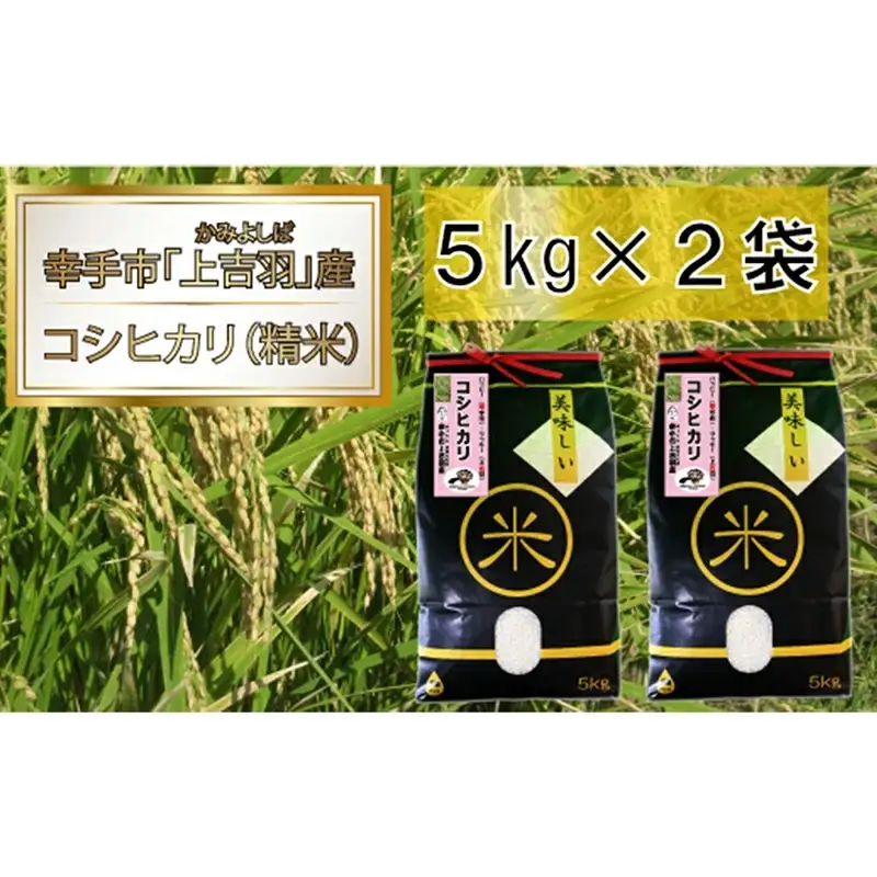 【令和7年産米】ハッピー(幸手市)でラッキー(上吉羽)なお米 コシヒカリ精米10kg - 白米 減農薬 ごはん 