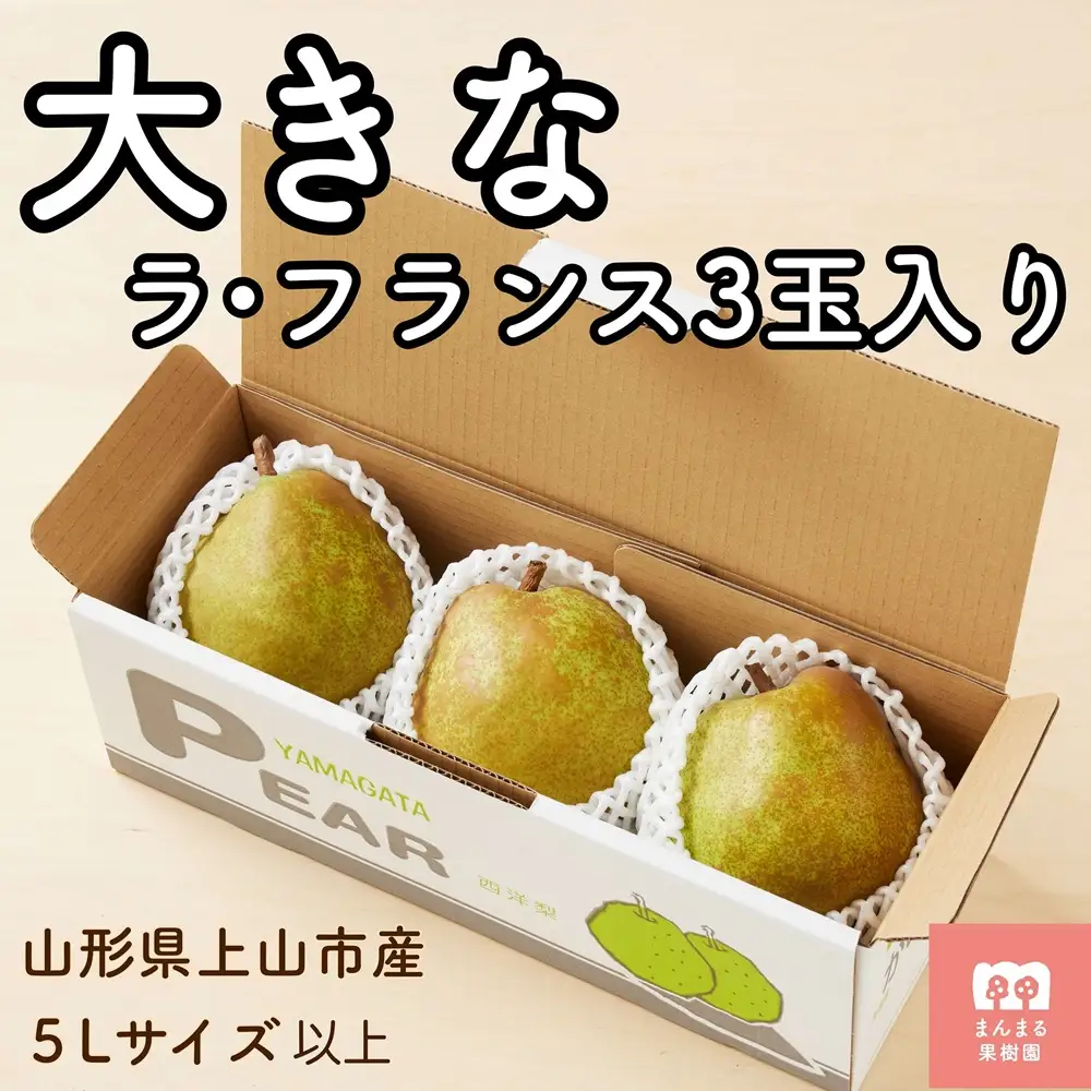 西洋梨（ラ・フランス）３玉　大玉　特秀品　0055-2608