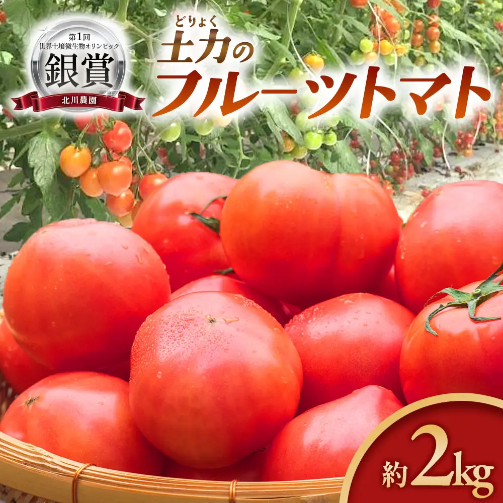 土力のフルーツトマト  大玉 KN-01