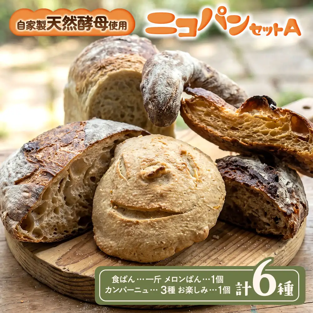 カラダヨロコブ天然酵母の二コパンセットA | パンパンパンパン