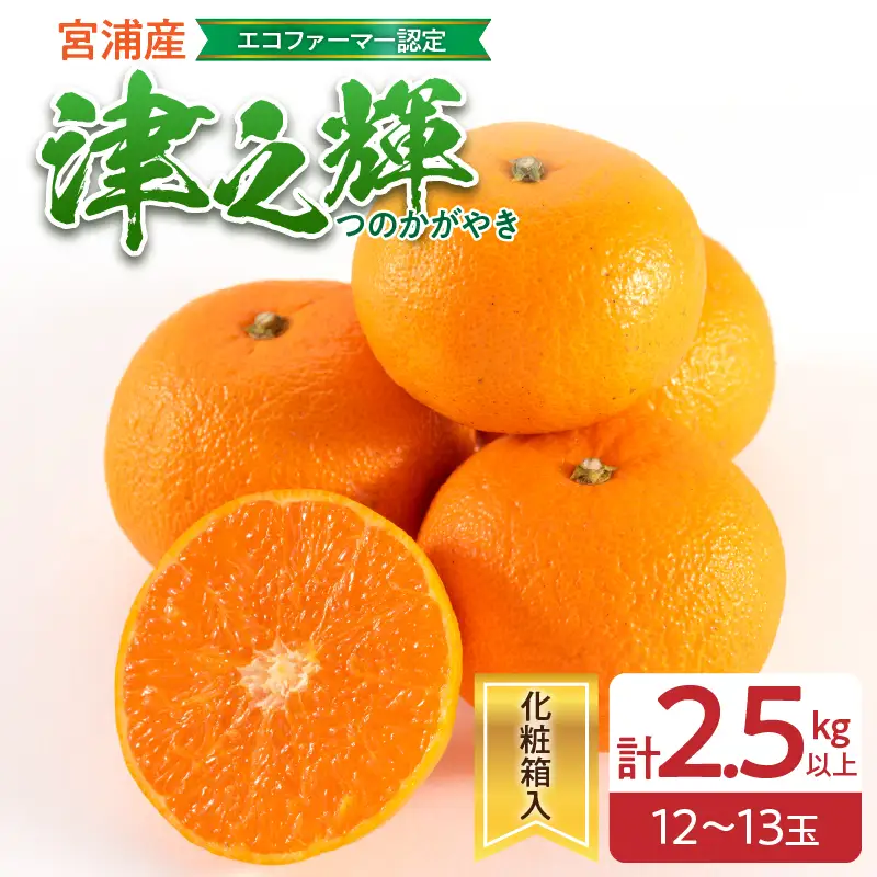 みかん 津之輝 計2.5kg以上 化粧箱入り 先行予約 2027年 令和9年発送 果物 くだもの フルーツ 柑橘_BC170-26