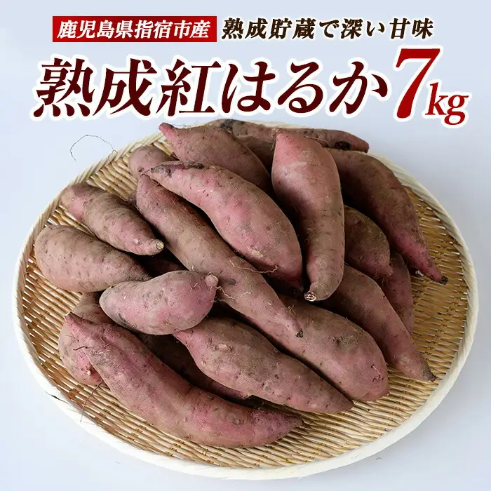2026年11月上旬～発送 指宿産 紅はるか 約7kg IB066-006 さつまいも