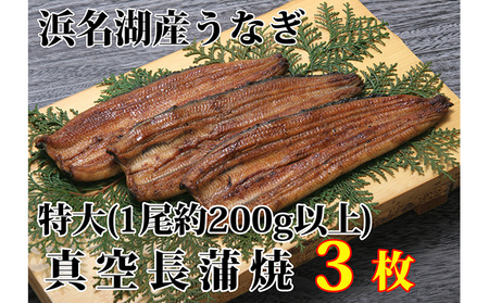 浜名湖産うなぎ特大・長蒲焼パック3枚入り【国産うなぎ】【配送不可：離島】 鰻 ウナギ 