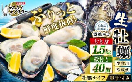 坂越かき むき身 約500g×3パック、 殻付き 40個（牡蠣ナイフ・軍手付き） 牡蠣 カキ 海鮮 貝【2027年1月以降発送予定】