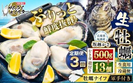 【3回定期便】 定期便 坂越かき むき身 約500g×1パック、殻付き 13個（牡蠣ナイフ・軍手付き） 牡蠣 カキ 海鮮 貝 【2027年1月上旬-2027年3月下旬発送予定】