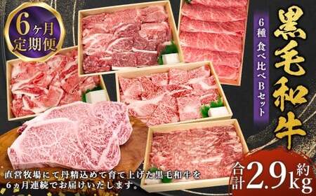 【6回定期便】牛肉 兵庫県産 黒毛和牛 6種 食べ比べ B 肉 ニク にく 牛