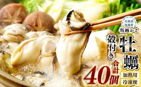 【冷凍】坂越かき 殻付き40個（加熱用） 牡蠣 カキ 海鮮 貝