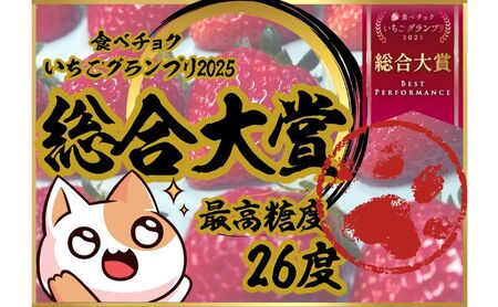 いちご 特大粒 新鮮 9粒入り いちご