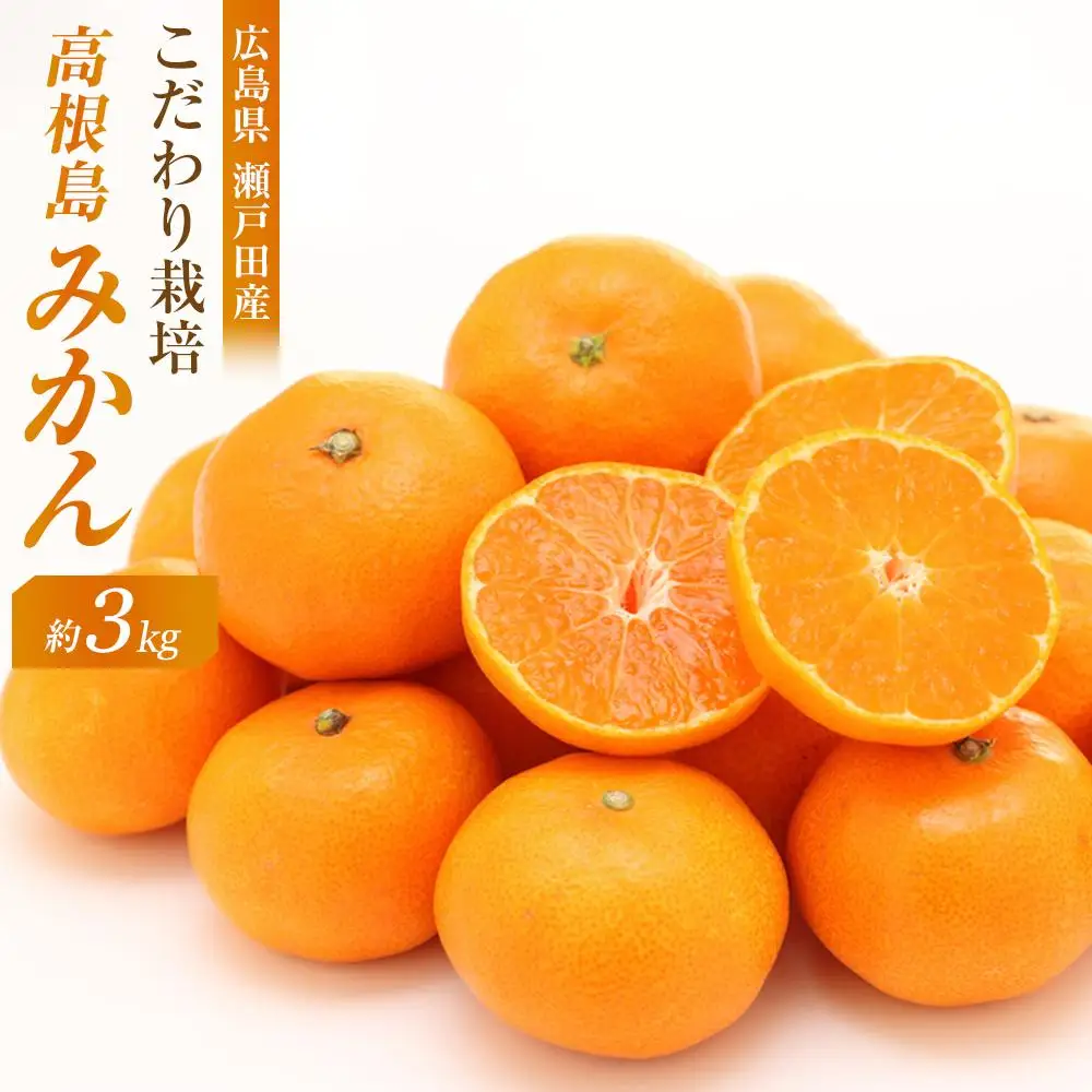 【先行予約】こだわり栽培　高根島みかん 3kg ＜2026年11月下旬より発送開始＞
