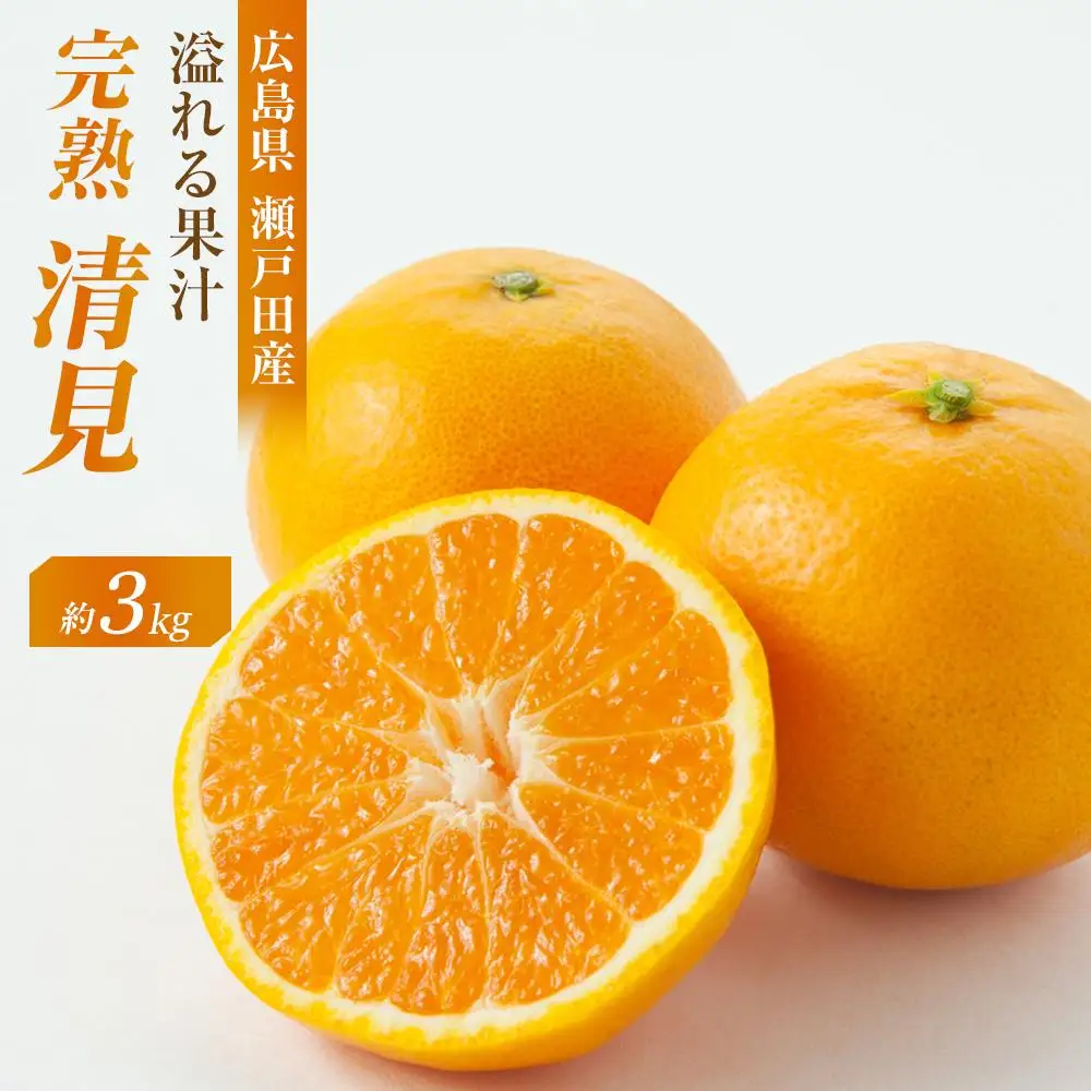 【先行予約】めっちゃジューシー 完熟清見 3kg＜2027年3月下旬より発送開始＞