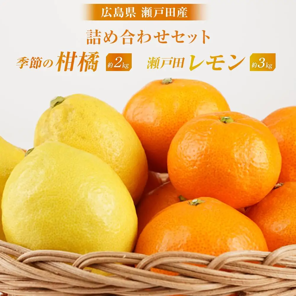 【先行予約】瀬戸田レモン3kg 季節の柑橘2kg ＜2026年11月下旬より発送開始＞