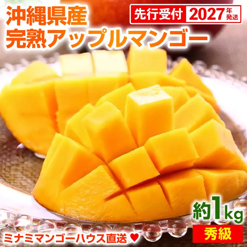 【先行受付】【2027年発送】ミナミマンゴーハウスの完熟アップルマンゴー【秀】約1kg（2～3玉）- 先行予約 沖縄県産 産地直送 南国フルーツ 旬の味覚 旬のフルーツ 贈り物 ギフト 沖縄県 八重瀬町