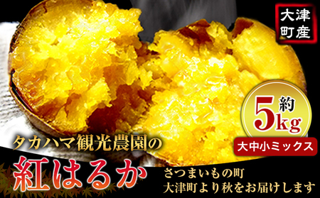 熊本県大津町産 タカハマ観光農園の紅はるか 約5kg(大中小ミックス)《30日以内に出荷予定(土日祝除く)》 さつまいも 芋 スイートポテト 干し芋にも