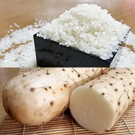 【五戸町特産セット】令和7年産　精米まっしぐら10kgと長芋3kgのセット【配送不可地域：離島・沖縄県】【1017944】