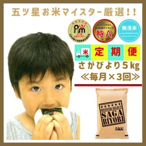 CID50_【３回定期便】無洗米さがびより５ｋｇ 【五つ星お米マイスター厳選！】