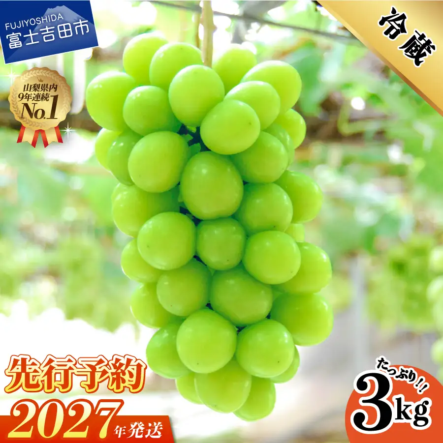 【2027年発送 先行予約】 山梨県産 シャインマスカット 3kg フルーツ シャインマスカット