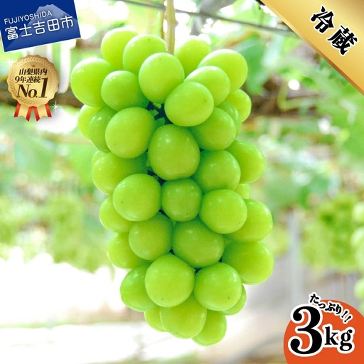山梨県産シャインマスカット3kg 【2026年発送】 フルーツ シャイン