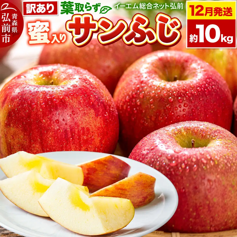 りんご 葉取らず サンふじ 訳あり 約10kg 蜜入り 【12月発送】 りんご