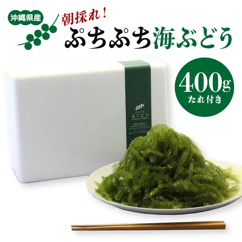 朝採れ! ぷちぷち 海ぶどう 400g 沖縄県産 海ブドウ たれ付き 無着色 沖縄 特産品 沖縄グルメ 海の宝石 海藻 海ぶどう丼 サラダ おつまみ おかず 沖縄料理 常温保存 贈答用 ギフト 産地直送 沖縄県 糸満市