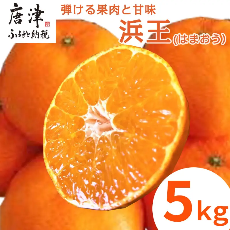 『先行予約』【令和9年1月下旬発送】浜王(はまおう) ハウス栽培 唐津産 5kg 口之津(くちのつ) 39号みかん フルーツ 果物 柑橘 かんきつ