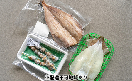 【ふるさと納税】京都 ・ 天橋立 海鮮3種詰め合わせセット 特大ホッケ サザエ串 イカ一夜干し 海鮮 魚貝類 魚 サザエ いか イカ ホッケ 一夜干し 干物  myz02 myz11 myz17