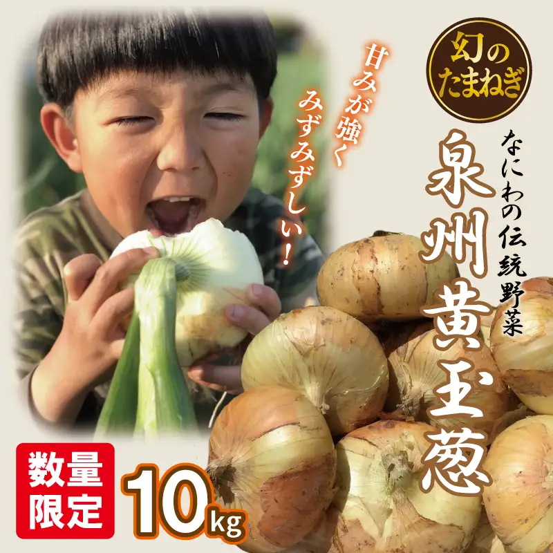 【先行予約】 数量限定 幻のたまねぎ 泉州黄玉ねぎ 10kg