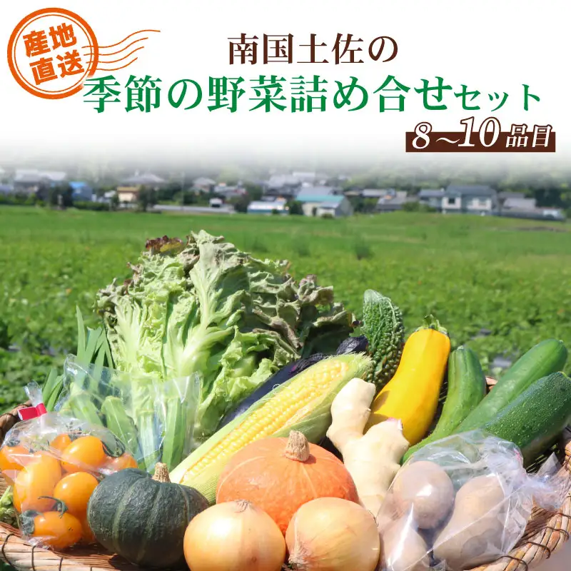 【野菜】農家直送 季節の野菜(8～10種類）