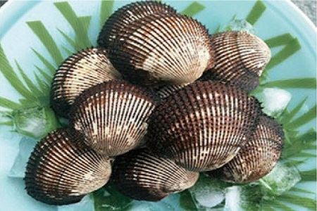 ☆冬季限定☆＜周防大島産＞天然！殻付き赤貝４ｋｇ【先行受付開始！2027年1月23日以降のお届け】