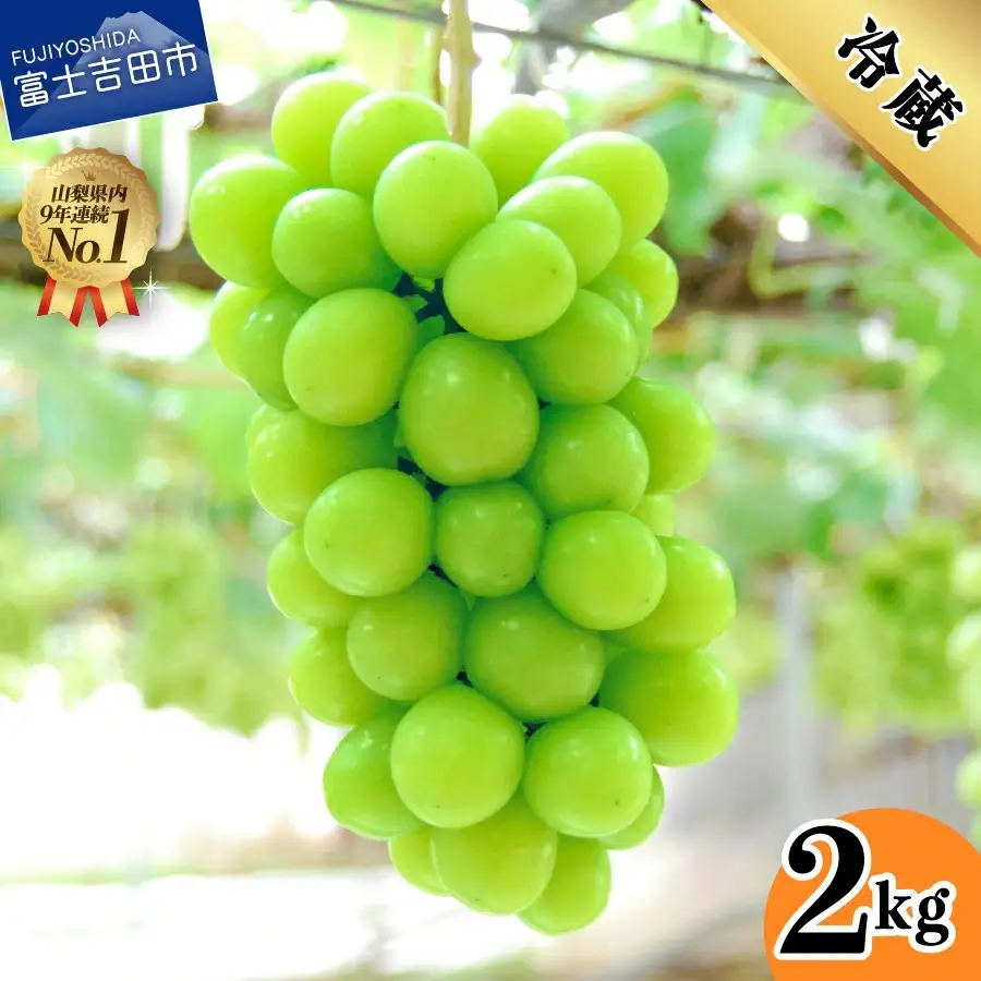 山梨県産シャインマスカット2kg(3～5房)【2026年発送】 フルーツ