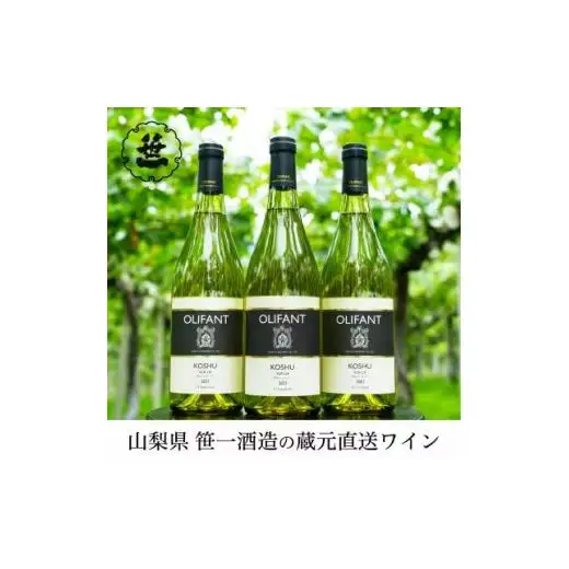 【蔵元直送】笹一酒造のOLIFANT(オリファン)ワイン＜白＞甲州3本セット